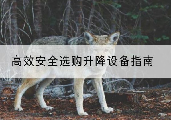 平川升降货梯厂家推荐-*安全选购升降设备指南