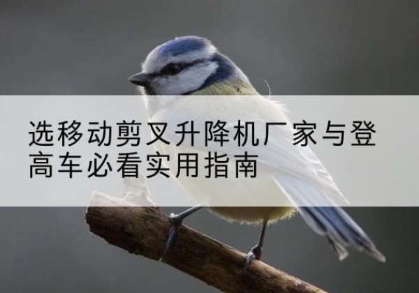 平川电动升降机厂家-选移动剪叉升降机厂家与登高车必看实用指南